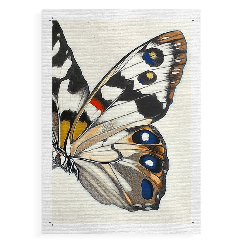 ANIMALS Series CCCLII -Canvas Print Only - NOT FRAMED, 18" H x 12" W