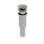 Push Drain Without Overflow-50355181