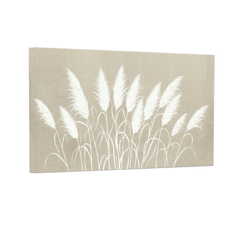 Plantes et fleurs, herbe de pampa blanche sur fond beige, H 12 po x l 18 po