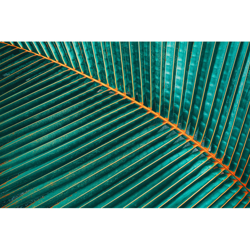 Tropical Coconut Palm Leaf - Wrapped Canvas Print, 30cm H x 46cm W