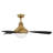 Burghard 50'' Ceiling Fan with LED Lights-945142076