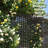 Metal Privacy Screen