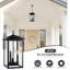 Birten 3 - Light 20.9“ H Outdoor Hanging Lantern-954141343