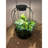 Solar Plant Lantern-120201302