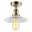 Semi Flush Mount-1870205024