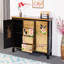 Armoire d'appoint moderne et luxueuse