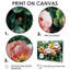 Printemps plante grasse dans l'aride - reproductions de plantes grasses encadrées-1937377116-1937377119-1937377104