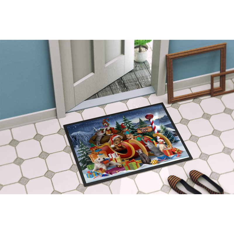 Diaonetta Non-Slip Christmas Outdoor Doormat, Rectangle 2' x 3'