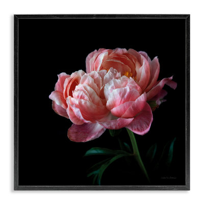 Bb-159-Rose foncé encadré sur bois par Debra Van Swearingen