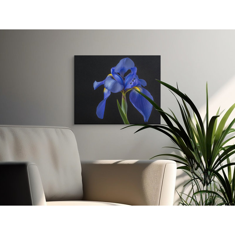 Schrock Wrapped Canvas Print Set, 60x30