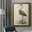 Toile encadrée de qualité supérieure antique Heron II - prête à être accrochée-771777375