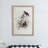 S/2 Bird Framed Print