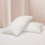 Oreiller Wayfair Sleep Down-120887178-120887177