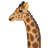 Mombasa the Giraffe Garden Statue