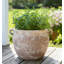 Pot à fleurs rustique rond en céramique avec poignées pour l'extérieur - Pots de fleurs décoratifs d'intérieur-861959523-868053472
