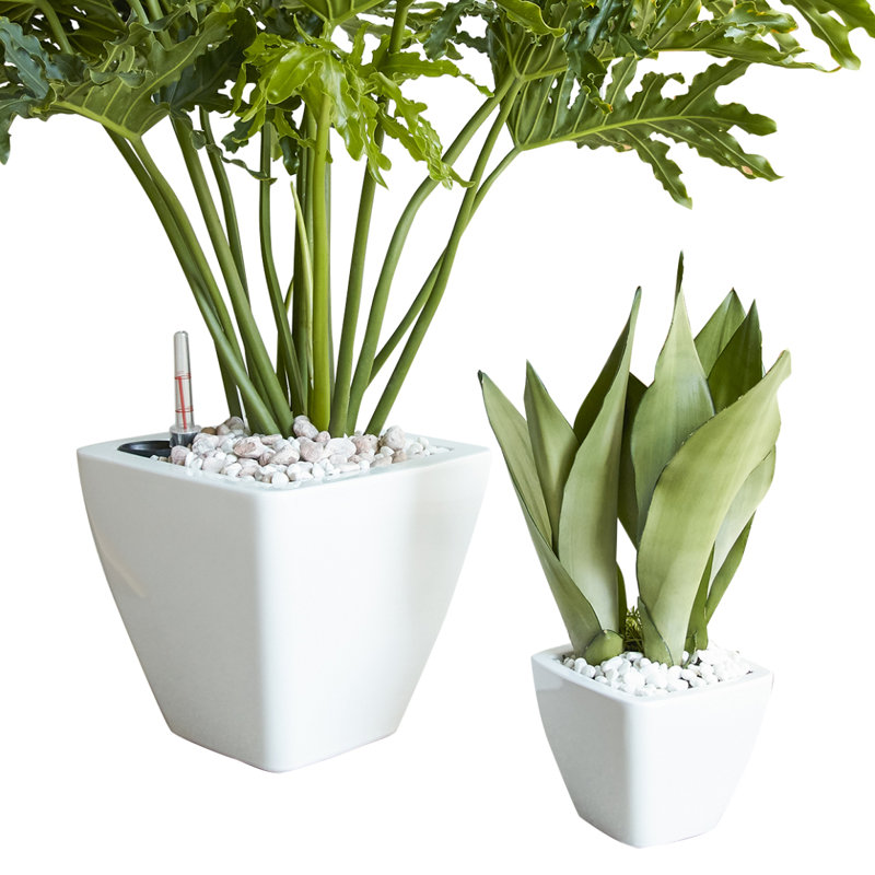 Paquet de 2 pots à fleurs à arrosage automatique pour l'intérieur et l'extérieur, Blanc