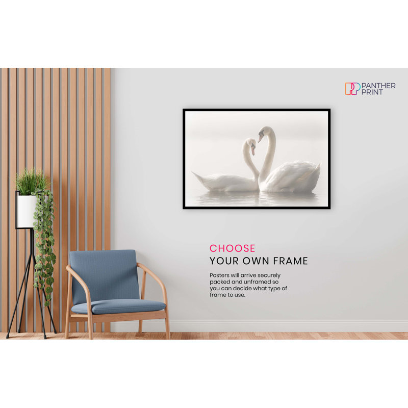 Swans Couples - Wrapped Canvas Print, 41cm H x 61cm W