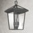 Lalla 3-Light Outdoor Hanging Lantern