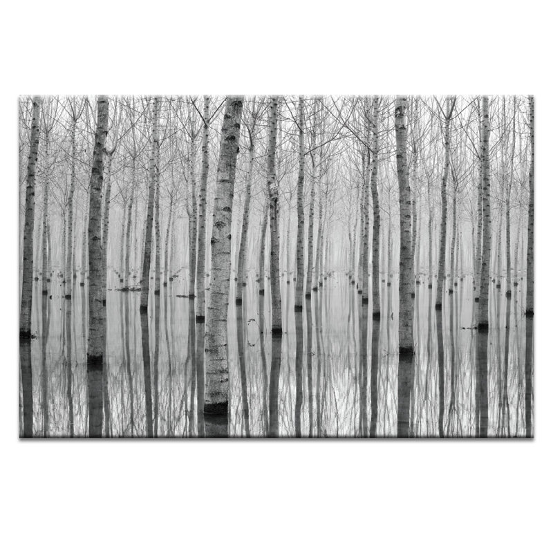 Print on Canvas, Wrapped Canvas, 31cm H x 46cm W x 1.8cm D