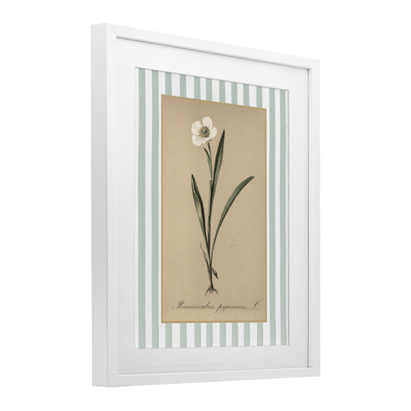 «Wild Poppy» avec rayures vertes encadrées sous verre, design avec lettres et doublure, H 16 po x l 13 po, Blanc