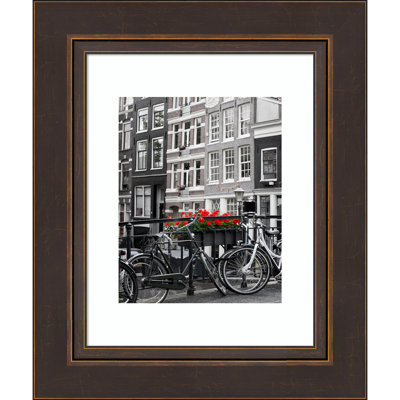 Pruitt Bronze Wood Picture Frame with Mat