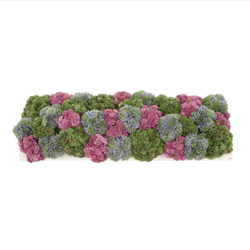 Sedum and Moss Arranged in Wood Planter, Purple/Red/Green
