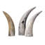 3 Piece Variegated Horn Sculpture Set
