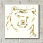«Ours brun doré» par Chris Paschke-1102084545