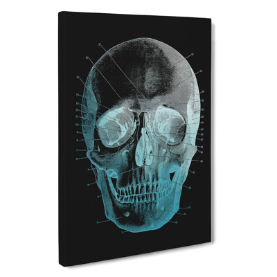 Black Twilight Skull - Wrapped Canvas Painting