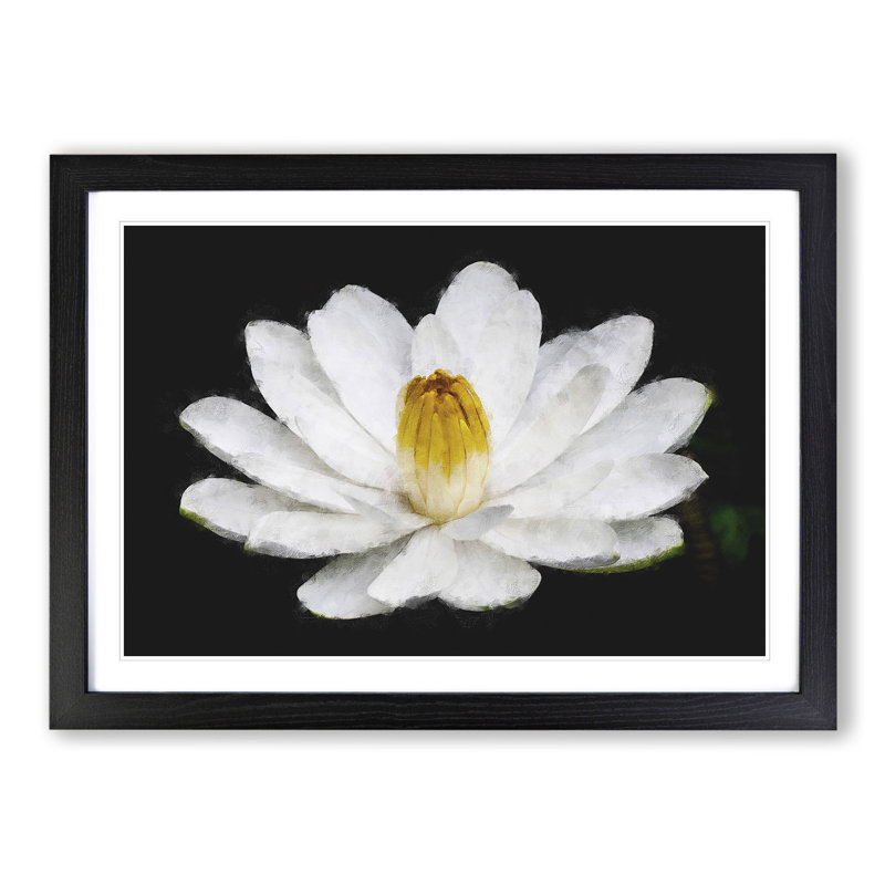 Heart of a White Lily - Picture Frame Graphic Art, 27cm H x 36cm W x 2cm D, Black Framed