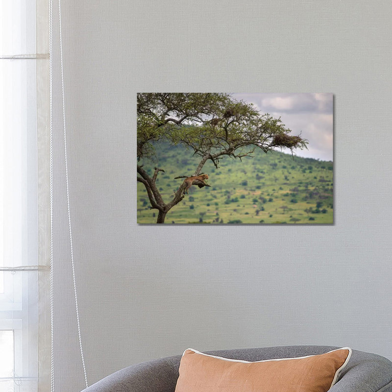 At The Edge by Mohammed Alnaser - Wrapped Canvas Print, 66.04 cm H x 45.72 cm W x 1.91 cm D