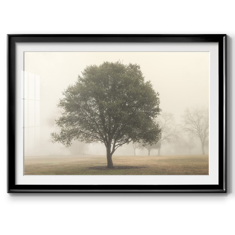 Arbres dans le brouillard I, Noir, H 19 po x l 27 po x P 1,5 po