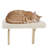 Cat Perch
