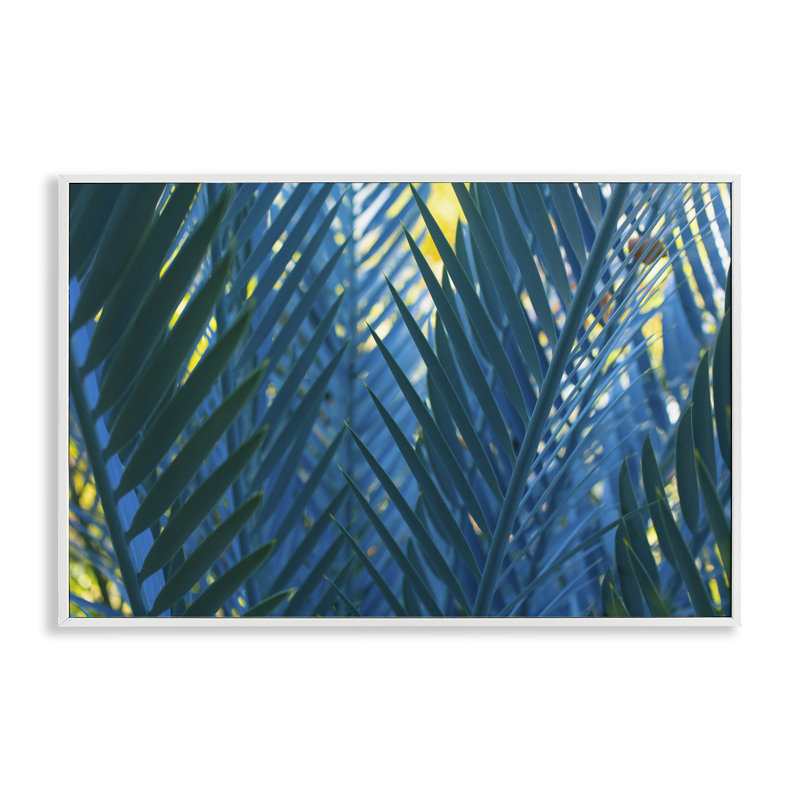 «Blue Palm Fronds», estampe numérique par Carol La Barge, Estampe numérique encadrée blanc bord de mer, H 12 po x l 18 po
