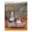 Tapis pour lit de qualité supérieure Rugs.com-100613957-110734664