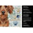 Wirehaired Red Dachshund Coastal Sea Glass Kitchen Towel-871464408