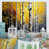 Toile tendue