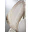 Chaise d’appoint en bisque Tompkins