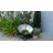 Skoog Metal Statue Planter