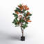 Faux Magnolia Plant in Pot-1917665336