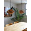 Luminaire suspendu Matilda 30-1806645101
