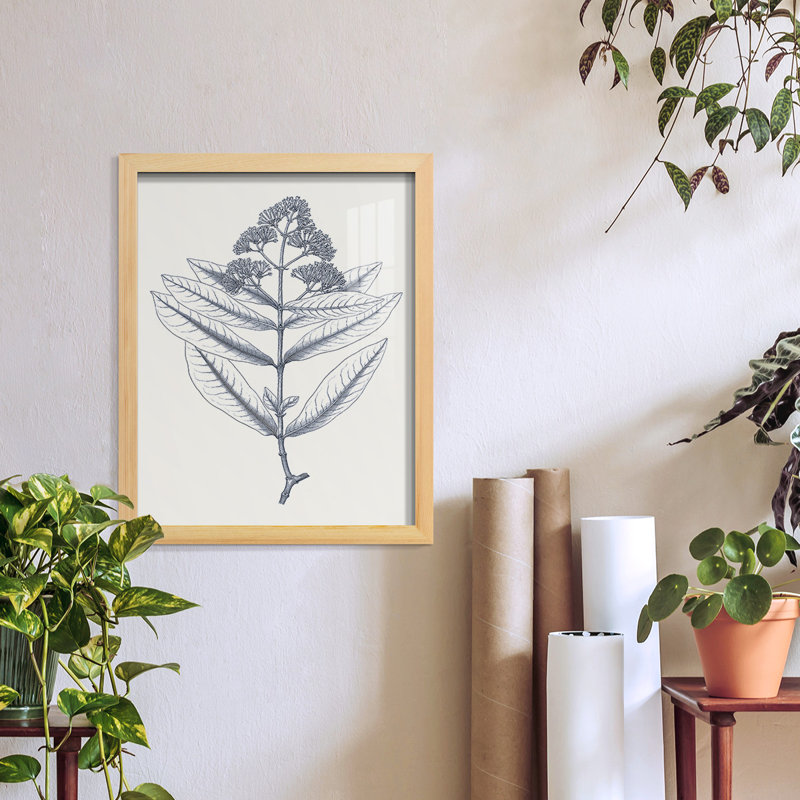 Indigo Botany Study I - impression d'un cadre photo, H 15 po x l 12 po x P 1 po, Naturel