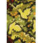 One-of-a-Kind 3’6”x5’8” Hand Knotted Area Rug