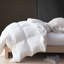 Insertion de couette en duvet et plumes toutes saisons-598230502