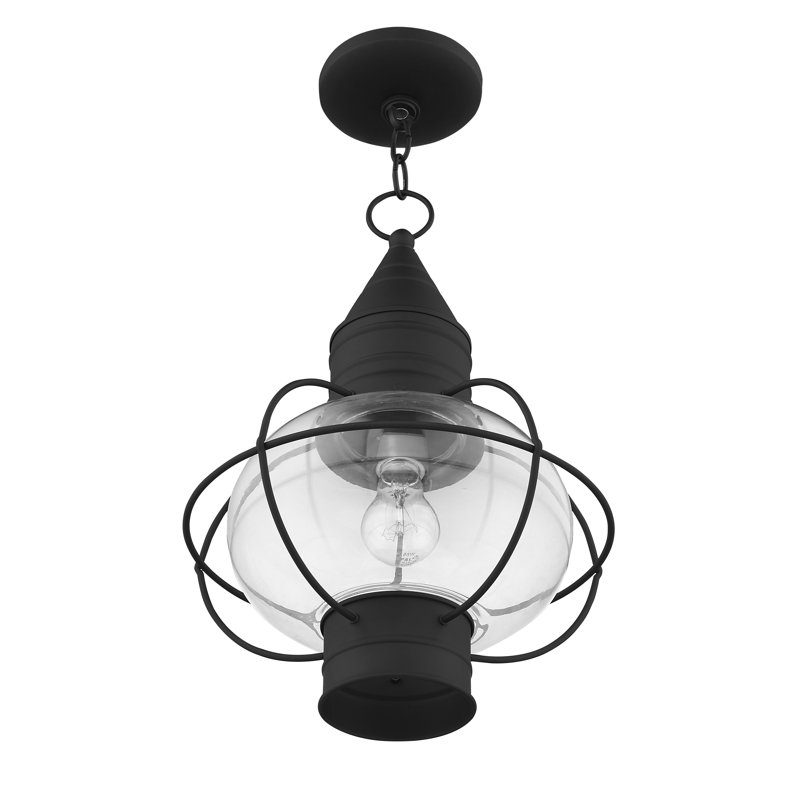 Aster Transparent Lantern Head, Black