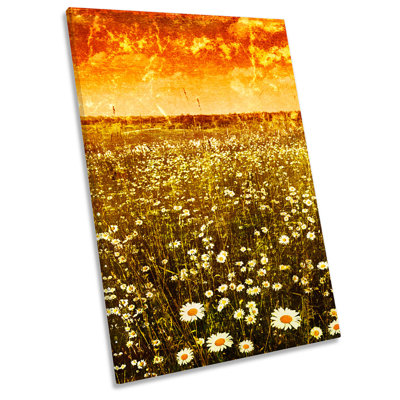 Daisy Field Floral Flower Grunge - Wrapped Canvas Print