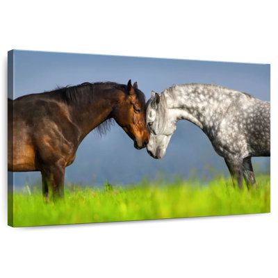 Couple de chevaux Hardie