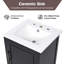 Black Bathroom Vanity 20" - Construction, Ceramic Sink, Door Shelf, Drawer, Rust- Hinges, 17.1"W Cabinet Width Sink Materials, Door, Drawer Storage, Surface, Centre Location, 6.7" Top Depth