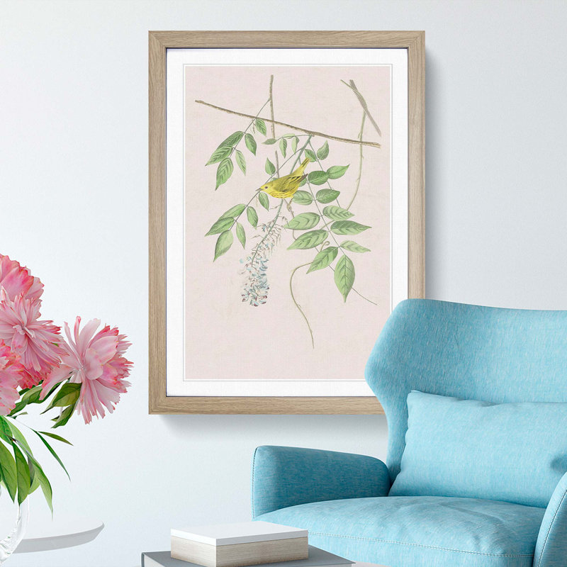 Blue Eyed Yellow Warbler by John Audubon - Picture Frame Painting Print, 36cm H x 27cm W x 2cm D, Oak Framed