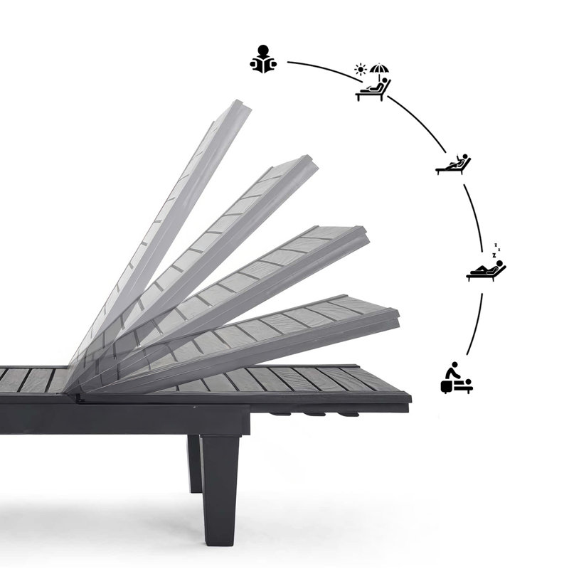 Nestl Black Adjustable Polyresin Outdoor Chaise Lounge Set